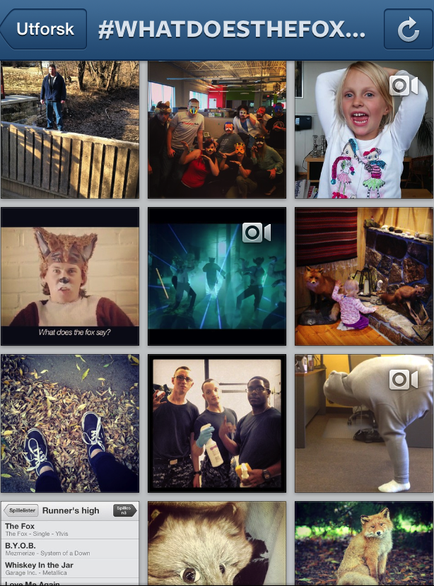what does the fox say ylvis instagram social media communicated by siril sosiale medier suksess